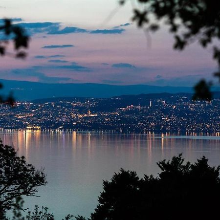 Vue Lac Leman & Piscine - Parking Free - Confort Appart 6 Pers Лугрин Экстерьер фото